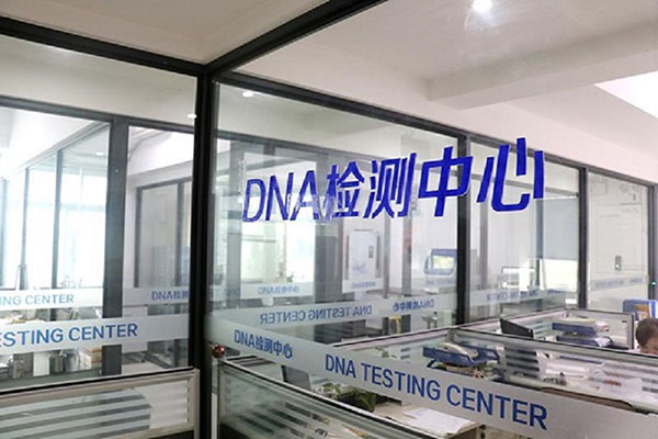 ̫ԭDNA